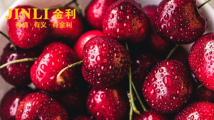 在廚房怎么能為所欲為?一臺集成灶就夠了
