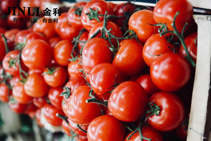 集成灶企業要改革,需要章法不能盲目前進