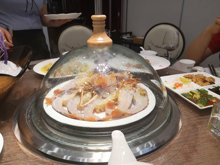 金利集成灶看好健康餐飲，預(yù)計(jì)投資千萬(wàn)進(jìn)軍大健康文化產(chǎn)業(yè)