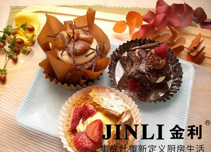集成灶十大品牌金利,廚電有這些優(yōu)點不火就才奇怪