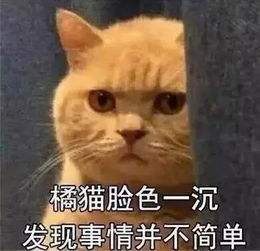 金利集成灶：520最好的告白，是為心愛的人做一輩子的飯