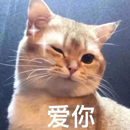 金利集成灶：520最好的告白，是為心愛的人做一輩子的飯