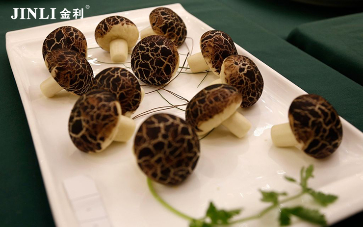 集成灶十大品牌金利，多功能集于一體，智能引領(lǐng)生活