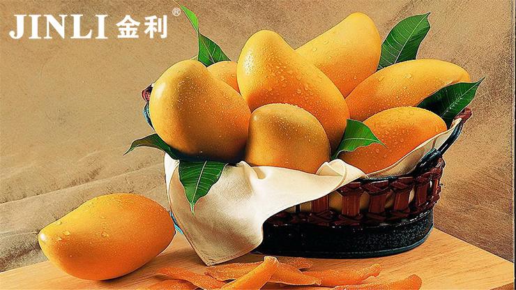 疫情過后，是否會給集成灶行業帶來“寒冬”時期？