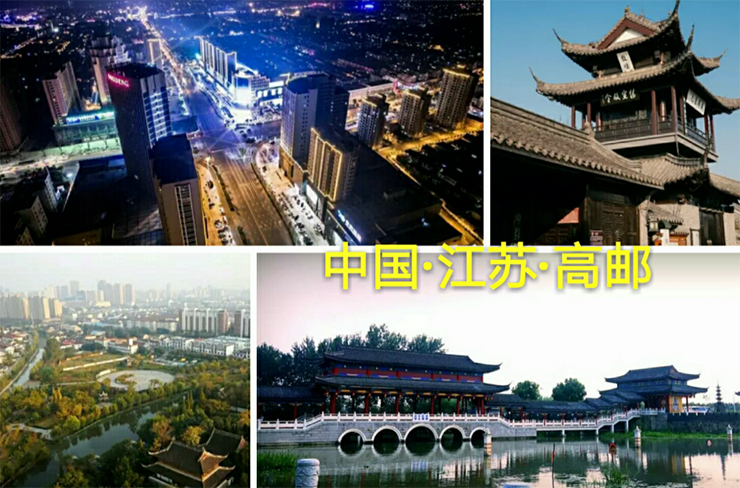 千城萬店全民營銷引爆行業(yè)新趨勢 金利集成灶江蘇高郵分公司成立