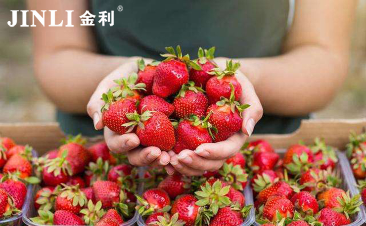 集成灶實(shí)用嗎？集成化設(shè)計(jì)讓廚房更美觀、寬敞！