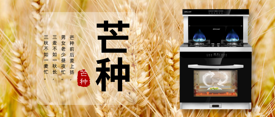 金利集成灶：今日芒種，高溫即將席卷而來，你準備好接招了嗎？