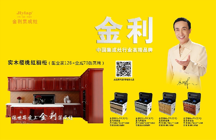 金利集成灶 集成灶十大品牌  集成環保灶